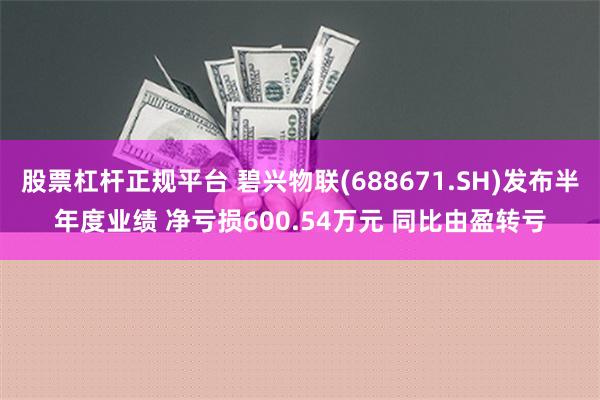 股票杠杆正规平台 碧兴物联(688671.SH)发布半年度业绩 净亏损600.54万元 同比由盈转亏