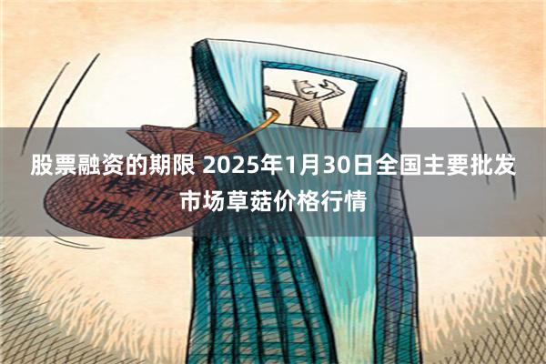 股票融资的期限 2025年1月30日全国主要批发市场草菇价格行情